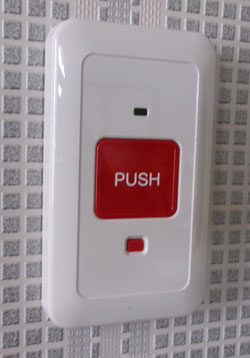 �ǖʌŒ莮������퉟���{�^�������t�����ʐ^